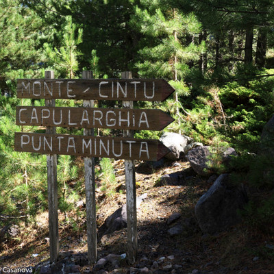 Le sentier débute ici...