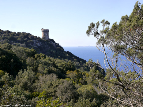 GOLFE D'AJACCIO