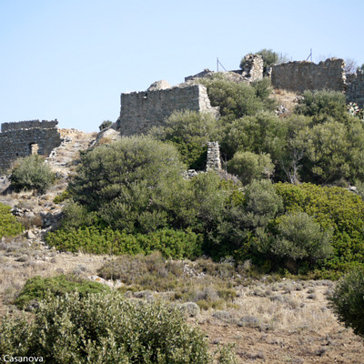 009-2012-09-07--Corbara-00033