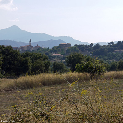 019-2010-09-05-0017-G1-Montemaio