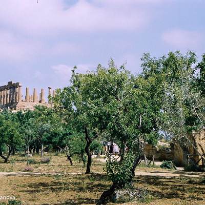 N7-img002