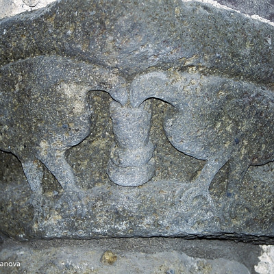 D4-img023