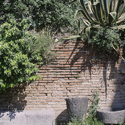 D1-img002