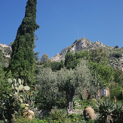 D1-img035