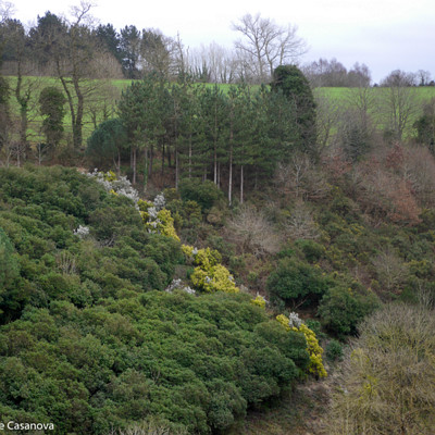 M-132-2017-02-21-1242-La-Roche-Jagu