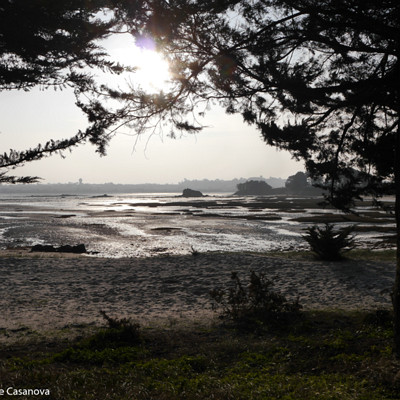 B-004-2017-02-12-0094-Roscoff