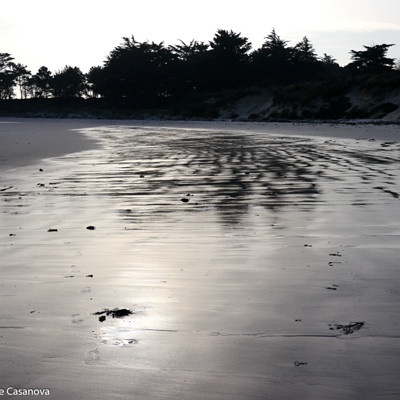 B-013-2017-02-12-0155-Roscoff