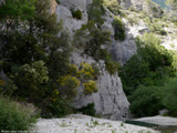 01-07-377-2016-06-12-1471-Gorges-d-Ubrieux