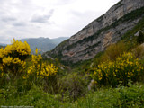 01-41-2016-06-10-1056-Montagne-d-Angele