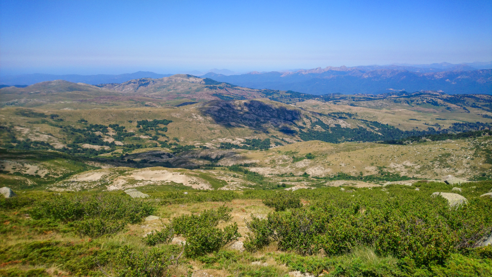 Le plateau du Cuscionu est lieu d'estive réputé et fabuleux.